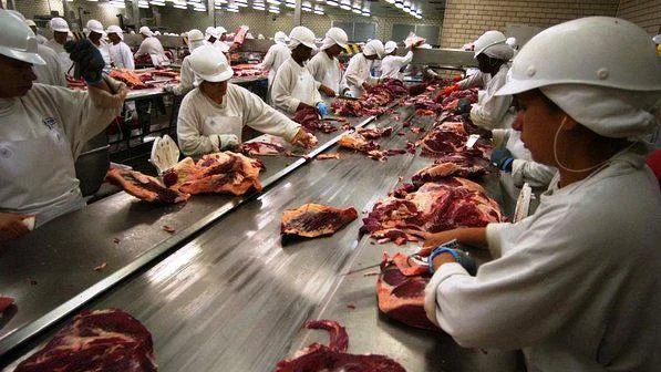frigoríficos, unidade frigorífica, planta, carne bovina, boi, autocontrole exportação à China