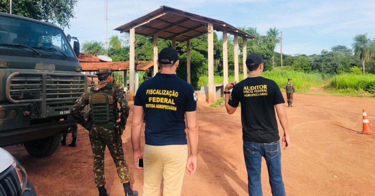 operacao apreende mais de 23 t de produtos agropecuarios irregulares portal dbo