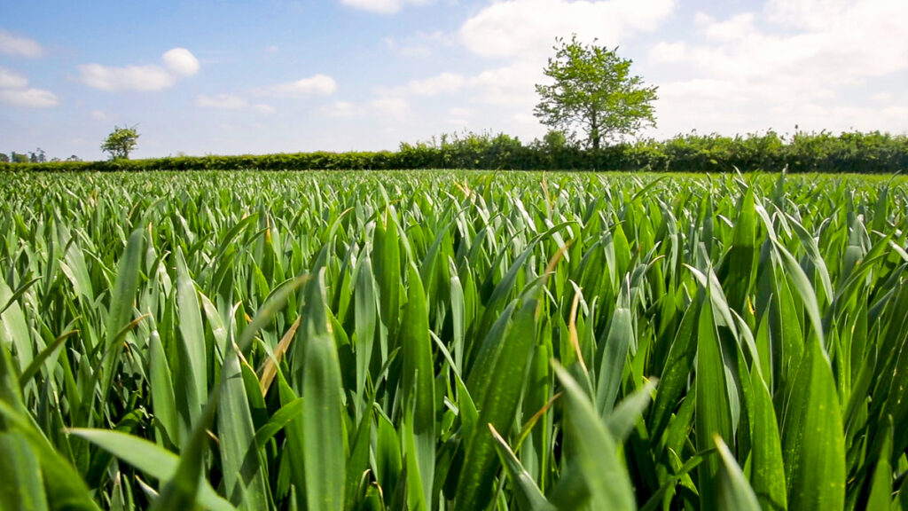 origin enterprises confirms acquisition of neo environmental 1