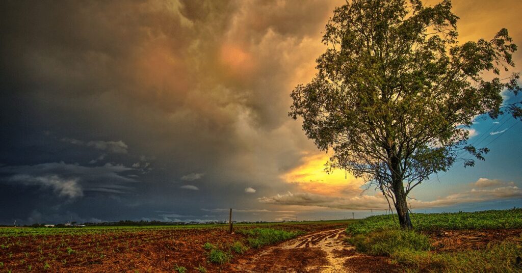 outono comeca nesta segunda feira 20 de marco confira o prognostico climatico portal dbo