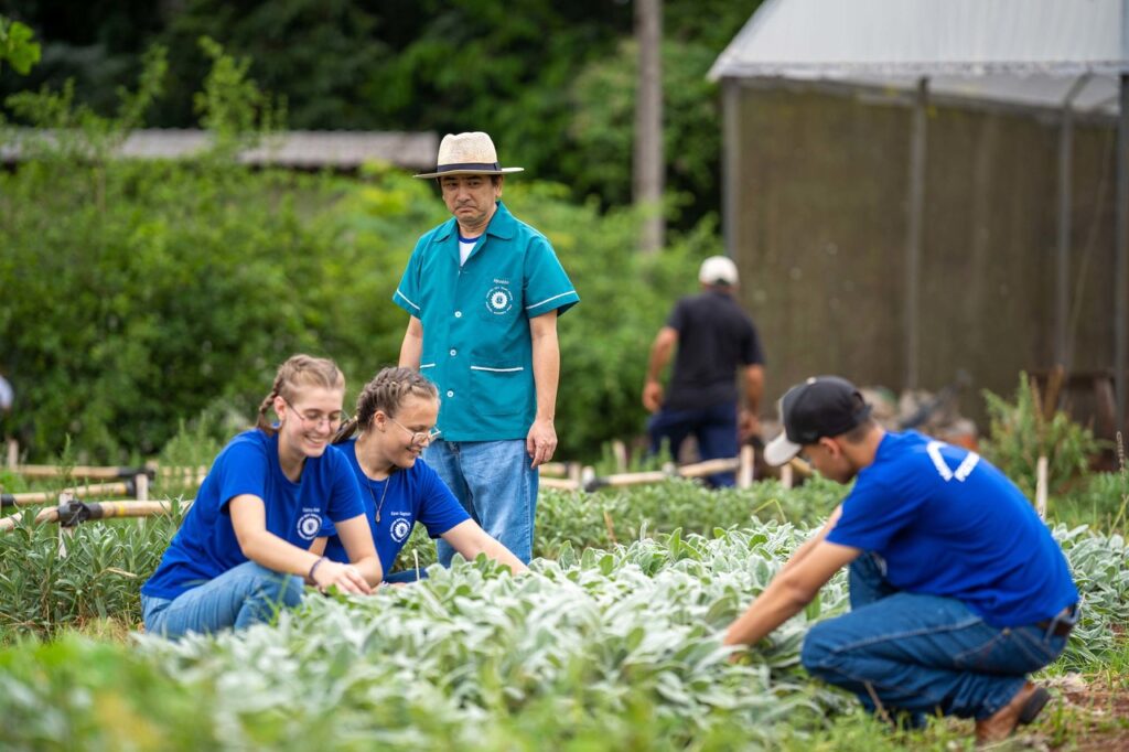 Paraná aumenta aquisição de alimentos orgânicos para merenda escolar 2 parana aumenta aquisicao de alimentos organicos para merenda escolar 1