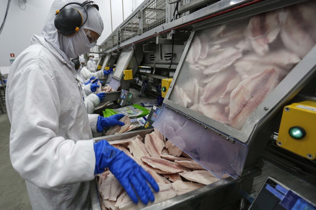 Paraná lidera produção e exportação de carne de peixe 2 parana lidera producao e exportacao de carne de peixe 1