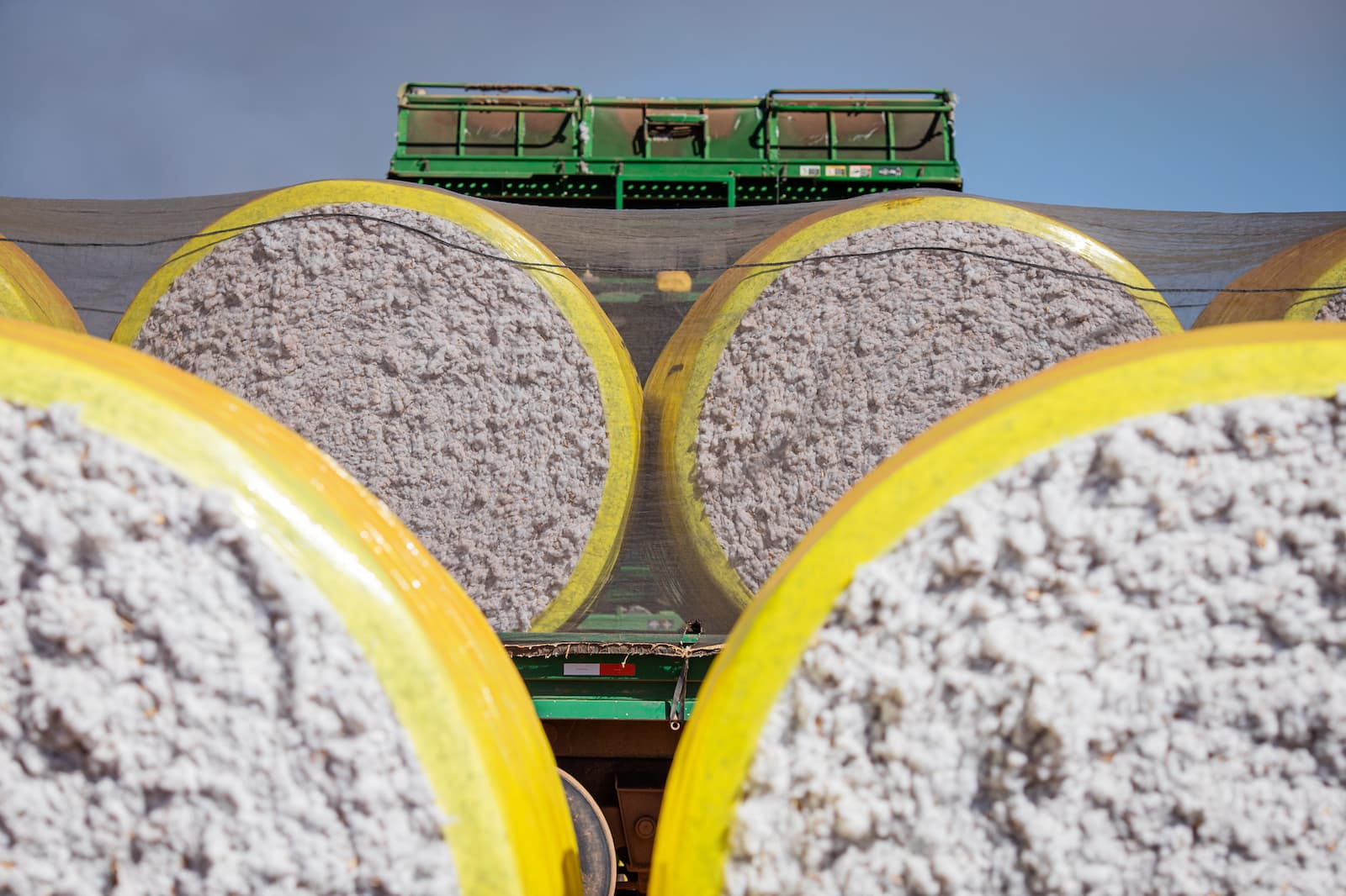 preco interno do algodao esta em baixa 1