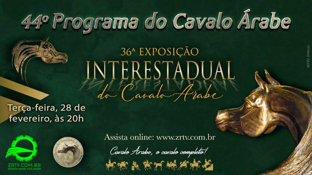programa cavalo arabe 44 36a interestadual do cavalo arabe 1