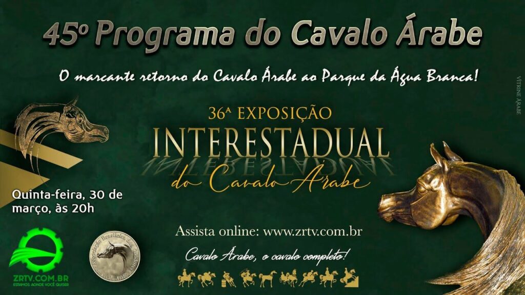 Programa Cavalo Árabe 45 - Melhores Momentos 36ª Exposição Interestadual 2 programa cavalo arabe 45 melhores momentos 36a exposicao interestadual 1