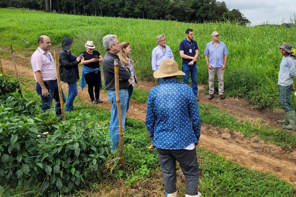 projeto busca reduzir em ate 30 o consumo de agua na irrigacao das hortalicas