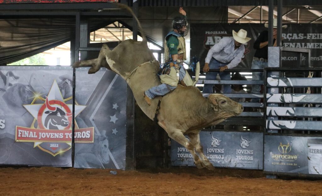 recorde touro de rodeio e arrematado por mais de 1 milhao de reais