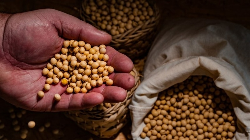 Rússia sugere renovar acordo de grãos do Mar Negro