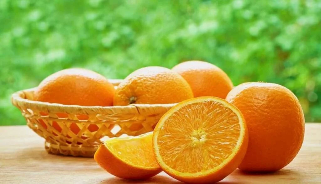 Safra de laranja segue favorecida pelas chuvas 2 safra de laranja segue favorecida pelas chuvas 1