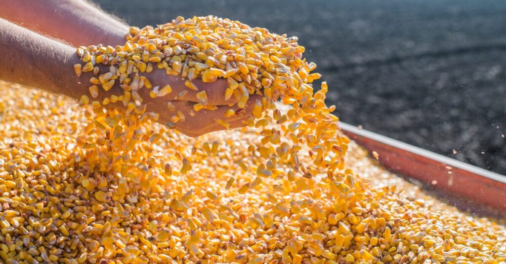 sao paulo quer se tornar autossuficiente na producao ate 2030 portal dbo