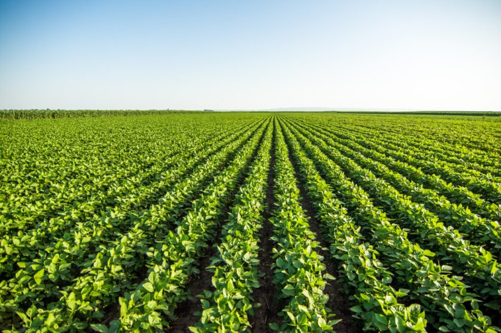 seapi inicia estudo sobre balanco de gases de efeito estufa em areas de producao de soja