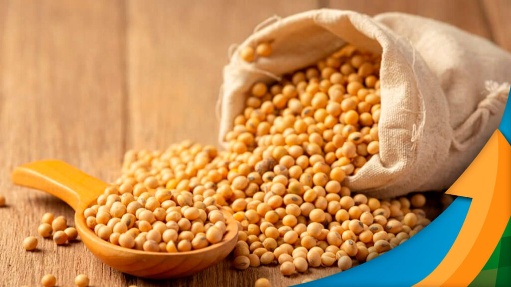 soja rentabilidade final da safra 2022 23 pode ser menor por conta do