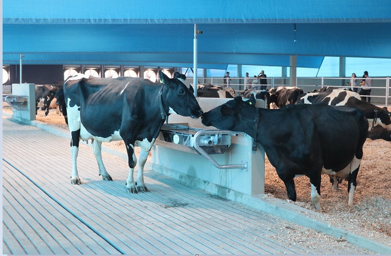 startups podem se inscrever para participar do mapa conecta proteina animal