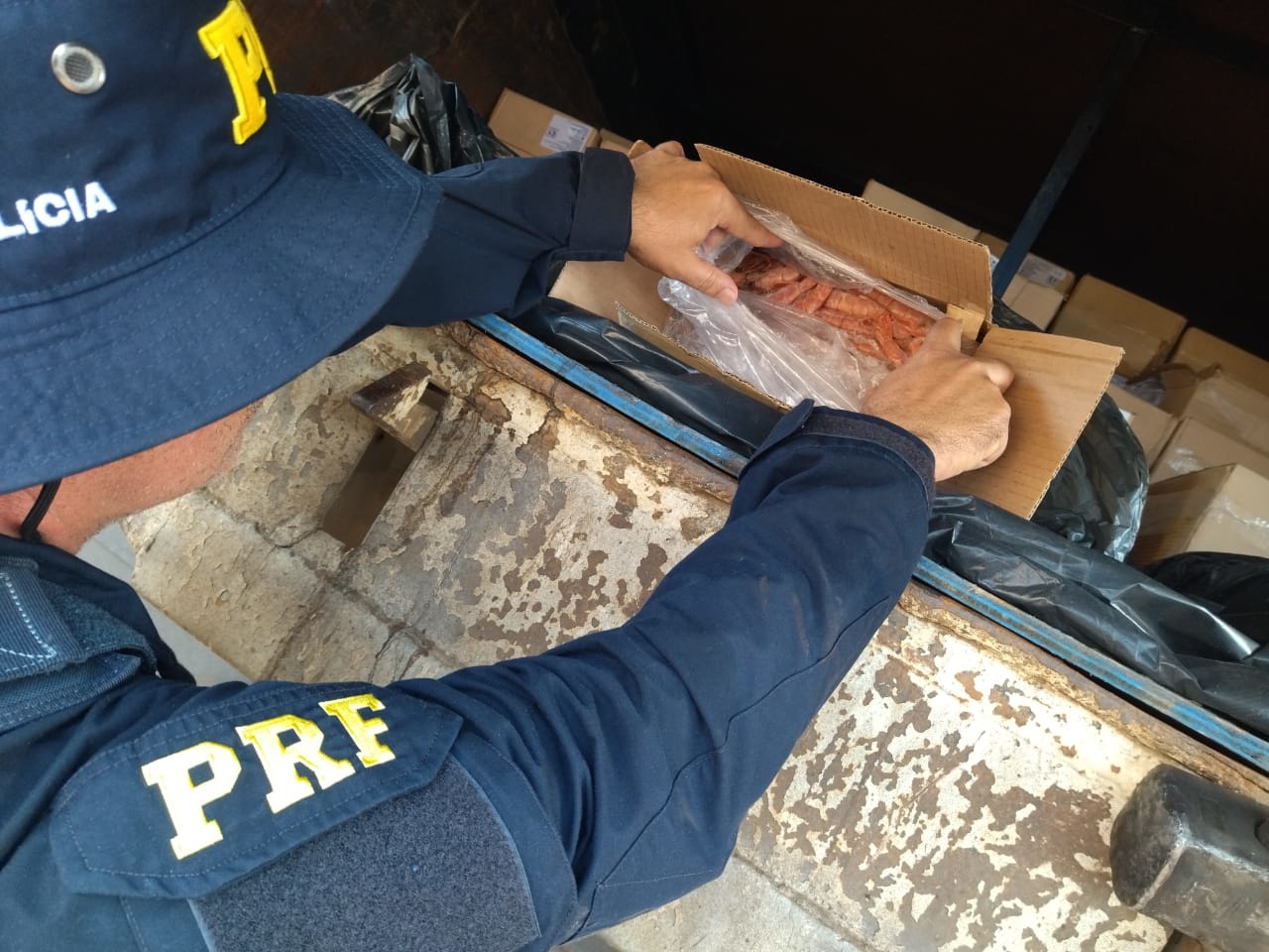 tres toneladas de camarao contrabandeadas sao apreendidas no pr 1