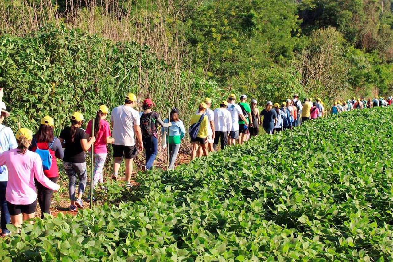 turismo no campo 56 mil pessoas participaram das caminhadas na natureza em 2022