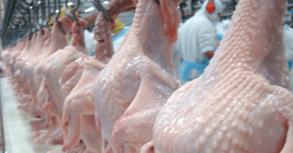 valor da carne cai mas alta na 1a quinzena garante avanco da media mensal portal dbo