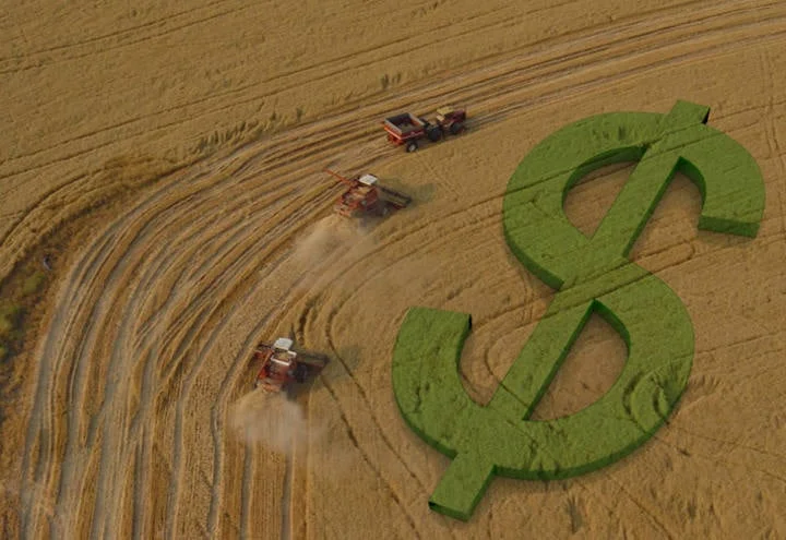 valor previsto da produção do agro é maior em 34 anos 2 valor previsto da producao do agro e maior em 34 anos