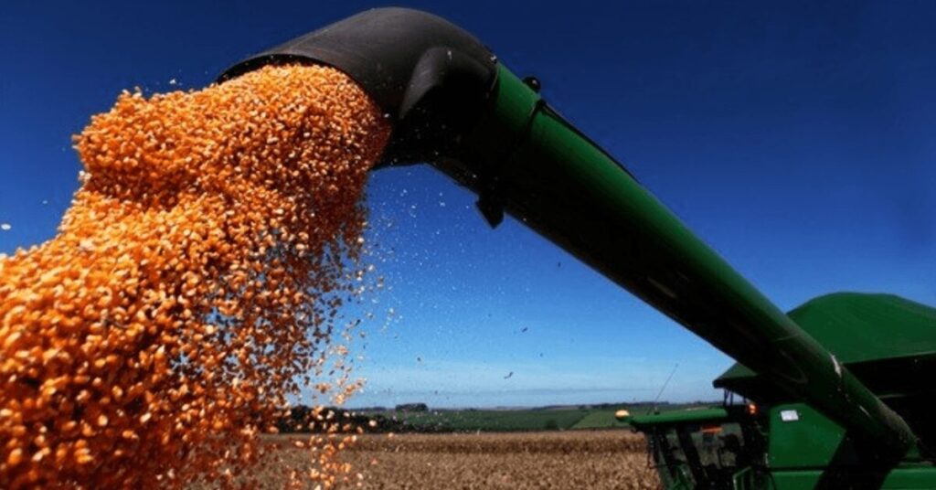 valores medios estao em baixa no spot nacional portal dbo