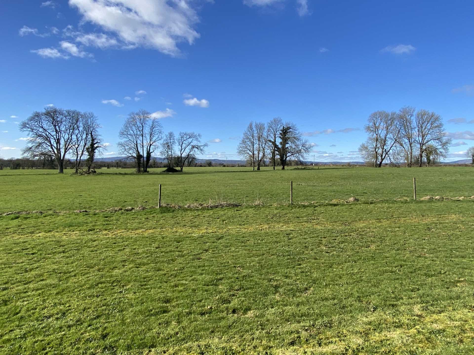 valuable land for sale at mountshannon lisnagry 1