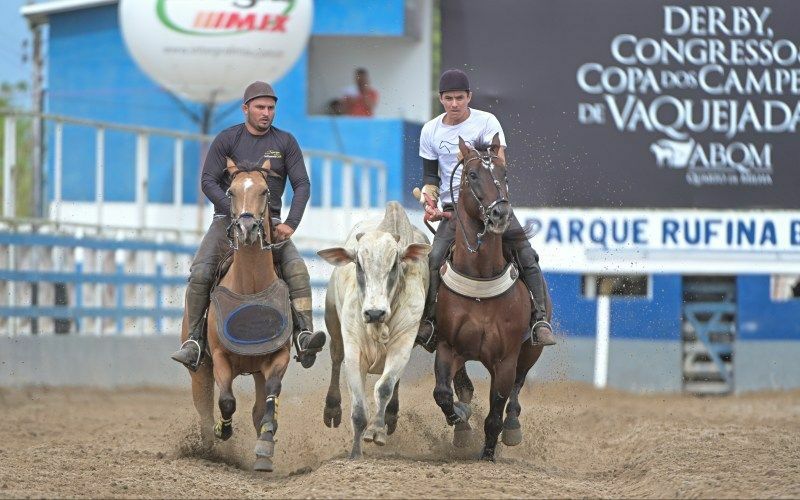Vaquejada abre calendário 2023 do Quarto de Milha de Bezerro (PE)