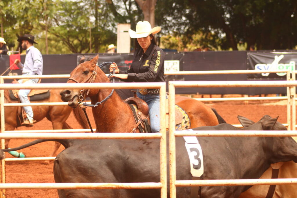 Thirty Champions Team Penning