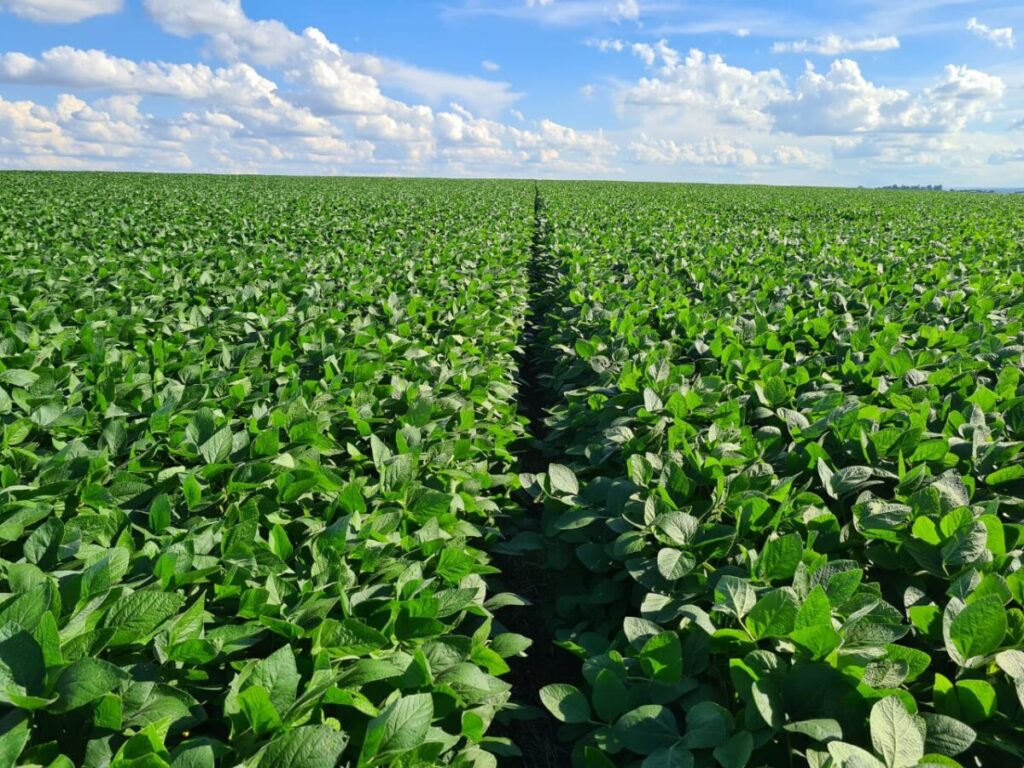 3o congresso brasileiro de direito do agronegocio reforca a importancia da seguranca juridica para a competitividade do setor