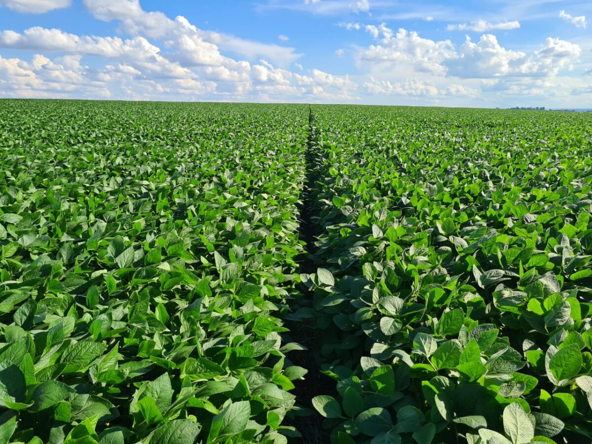 3o congresso brasileiro de direito do agronegocio reforca a importancia da seguranca juridica para a competitividade do setor