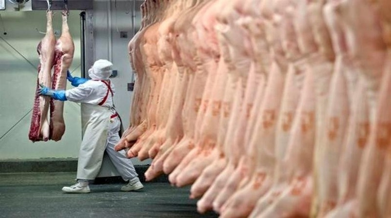 Alta preço carne suína