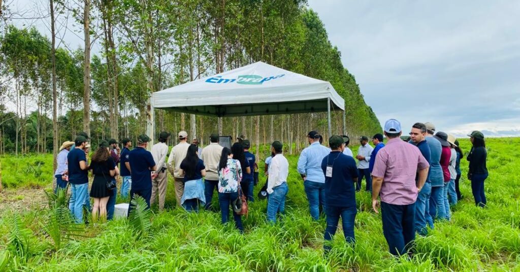 embrapa Justiça, MST, fazenda, Embrapa, Pernambuco