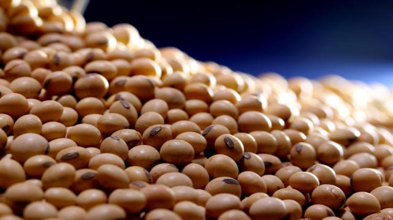 Menor safra de soja na Argentina interrompe queda do preco