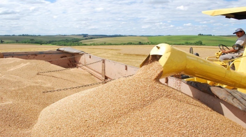 Preco externo do trigo avanca mas continua estavel no Brasil