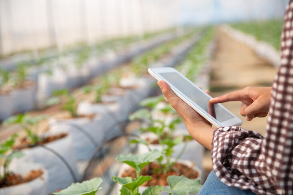 Transformacao digital e oportunidade de carreira no setor do agronegocio