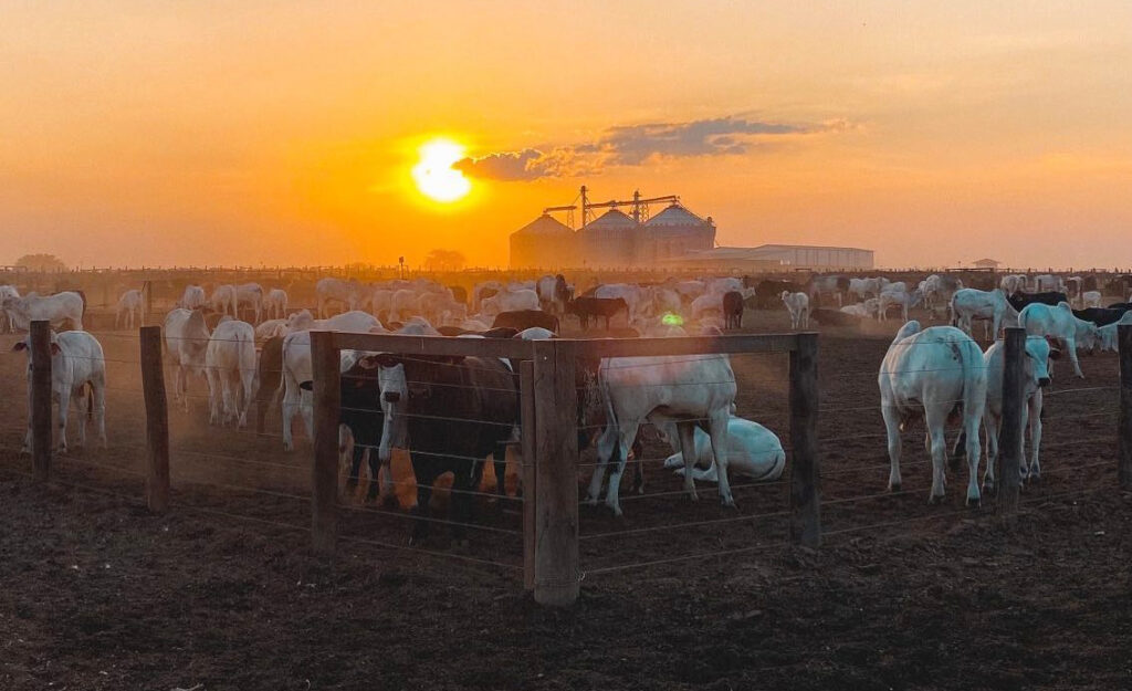 agro e a saida para o pib do brasil em 2023