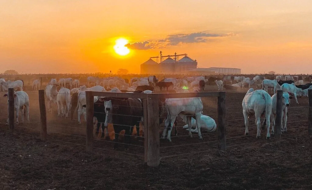 agro e a saida para o pib do brasil em 2023