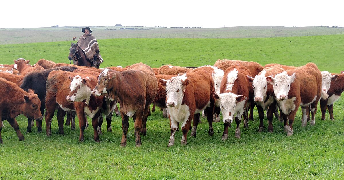 agronegocio representou em marco 67 das exportacoes totais do rs diz farsul portal dbo