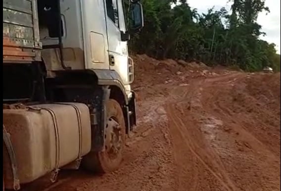 animais morrem na mt 170 e motoristas padecem diante atoleiros veja videos