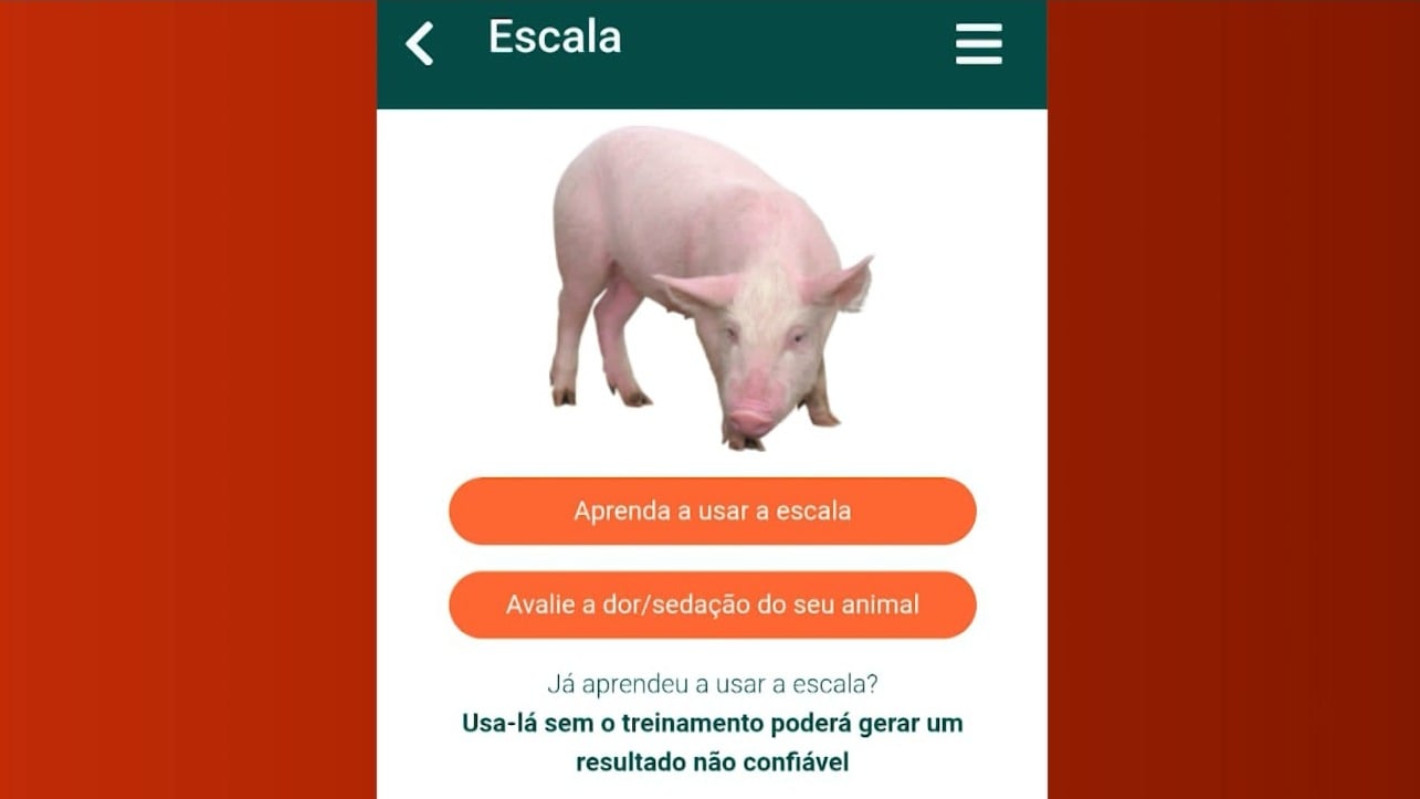 aplicativo identifica e avalia dores em animais de producao 1