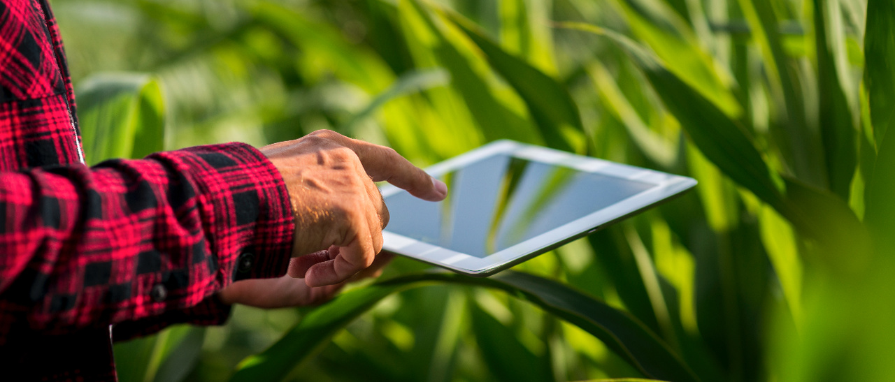 aplicativos para produtores rurais melhores app