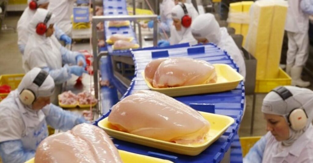 aumento dos embarques garante novo recorde e sustenta preço interno • Portal DBO 2 apos recordes em marco exportacao em abril comeca em ritmo intenso portal dbo 2