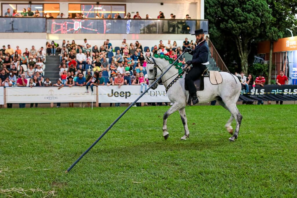 apresentacao do cavalo lusitano mostra beleza e atrai visitantes na expolondrina