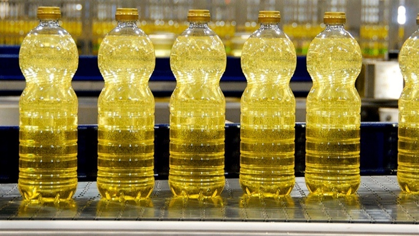 bacterias podem produzir oleos como assim 1