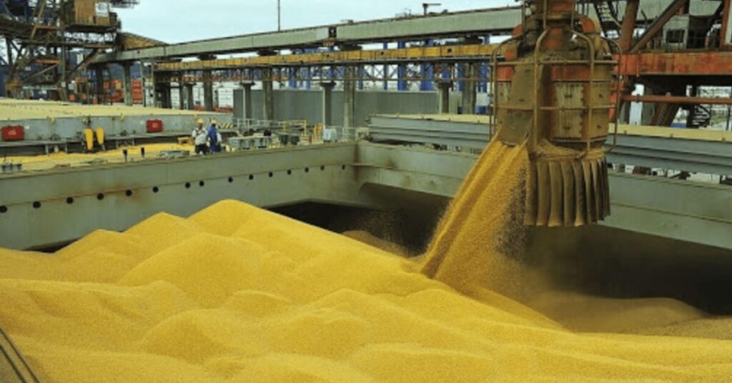 brasil podera liderar exportacoes em 2022 23 diz bolsa argentina portal dbo