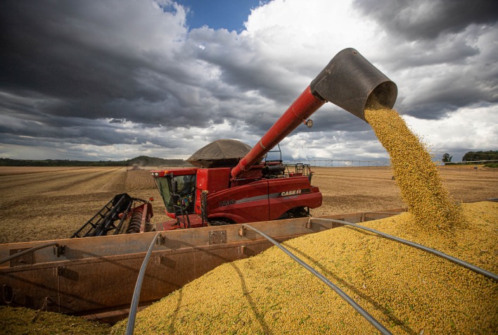 brasil tem produtividade recorde na soja apesar de seca no rs e recuo em fertilizante