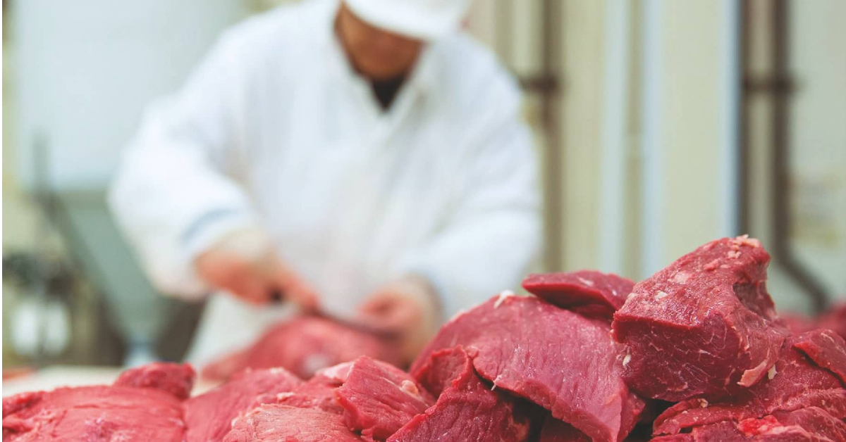 cadeia produtiva da carne bovina e o tema central do podcarne ouca f09f8ea7 portal dbo 2