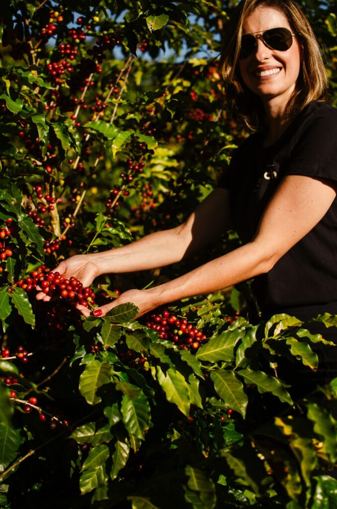 cafe e transformacao grao especial do sul de minas gerais ajuda a