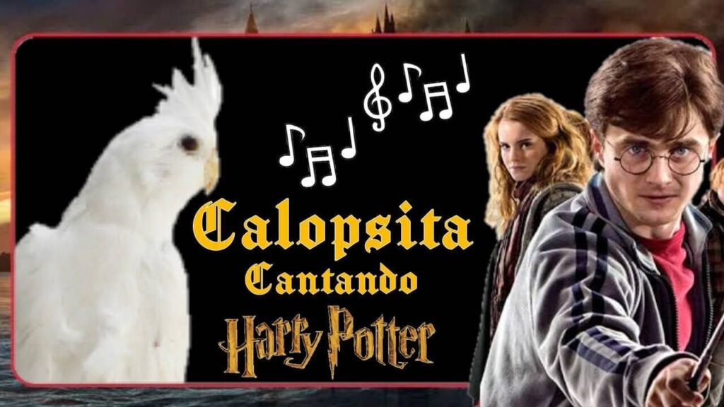 calopsita-canta-tema-harry-potter-viral