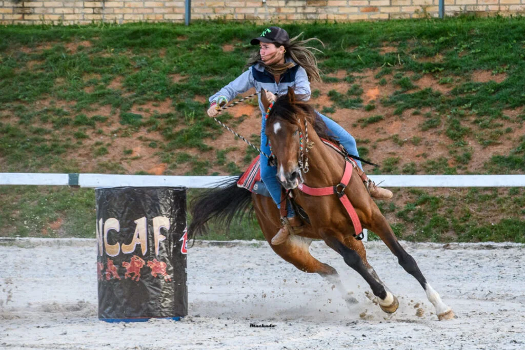 Cavalo Árabe de esporte é tema do programa da raça 2 cavalo arabe de esporte e tema do programa da raca 1