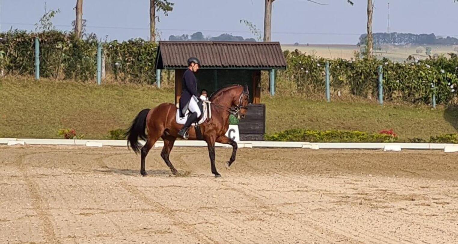 Centro Hípico Tatuí sediou competição de adestramento