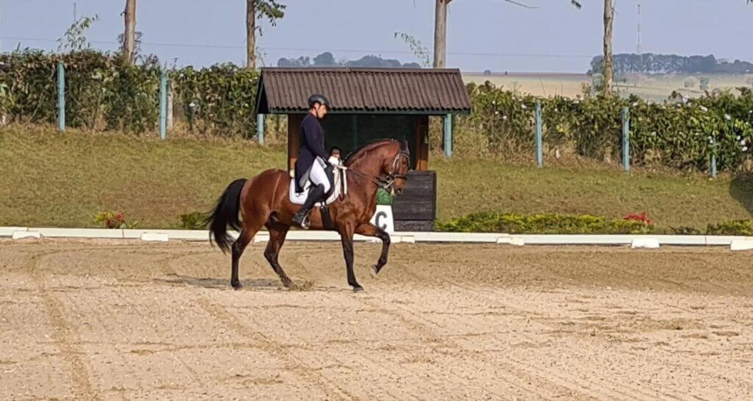 Centro Hípico Tatuí sediou competição de adestramento