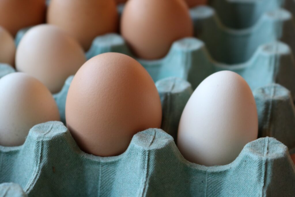 Cepea completa 10 anos medindo os preços dos ovos no Brasil 2 cepea completa 10 anos medindo os precos dos ovos no brasil